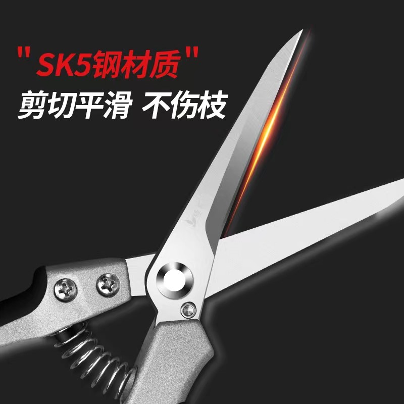 绿苑稀果剪修枝采摘剪火龙果剪刀采果神器园艺修花工具疏果摘果剪,淘宝优惠券,粉丝福利购,淘宝优惠卷