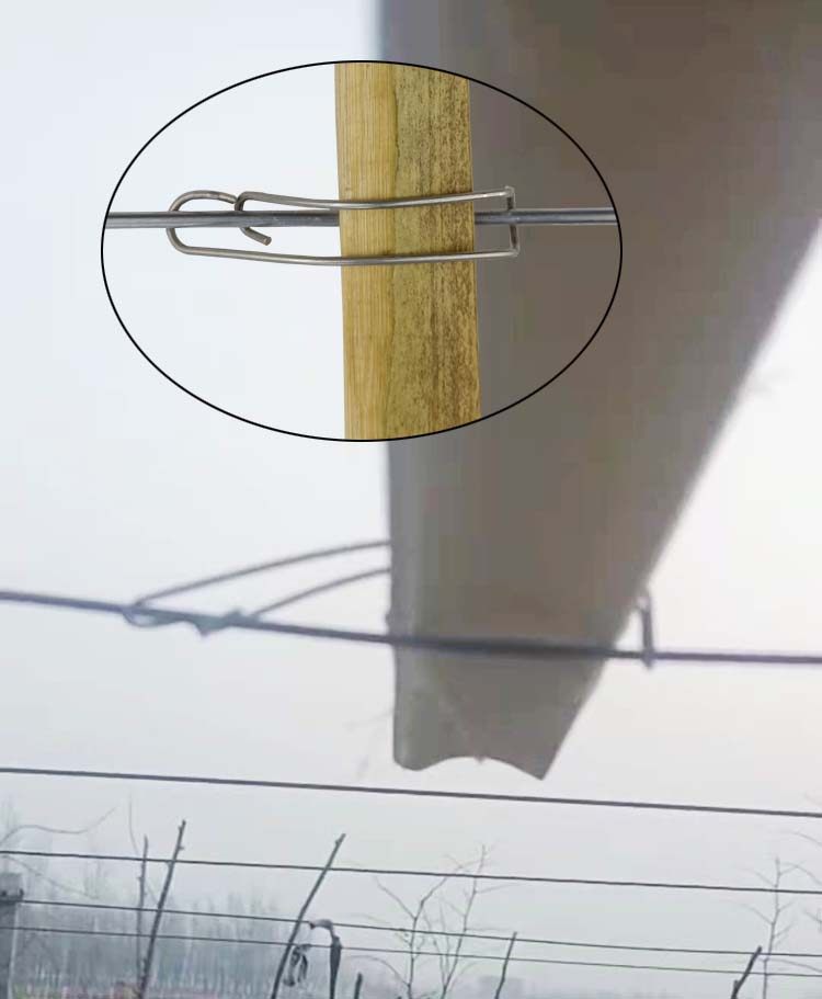 葡萄避雨棚竹片卡扣不锈钢避雨夹玻纤杆接管压顶簧压膜夹大棚专用,淘宝优惠券,粉丝福利购,淘宝优惠卷