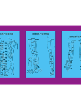 人体穴位图海报展板全身经络穴位参照图人体背部人体胸部墙贴墙纸