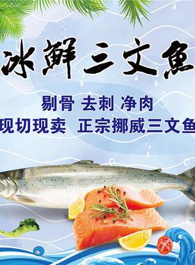 三文鱼的无穷味力海报展板三文鱼的营养价值冰鲜三文鱼墙贴墙纸
