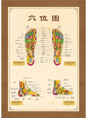 足部反射区挂图足底足疗按摩好处图片经络穴位图墙贴中医养生海报