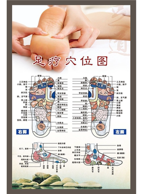 人体经络穴位图足部反射区挂图足底按摩标准穴位足疗的十大好处