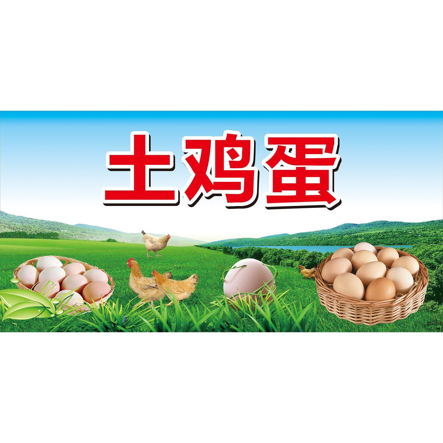 土鸡土鸭鸡蛋宣传画超市出售家禽店铺装饰背景墙画鸡肉分割图贴纸,淘宝优惠券,粉丝福利购,淘宝优惠卷