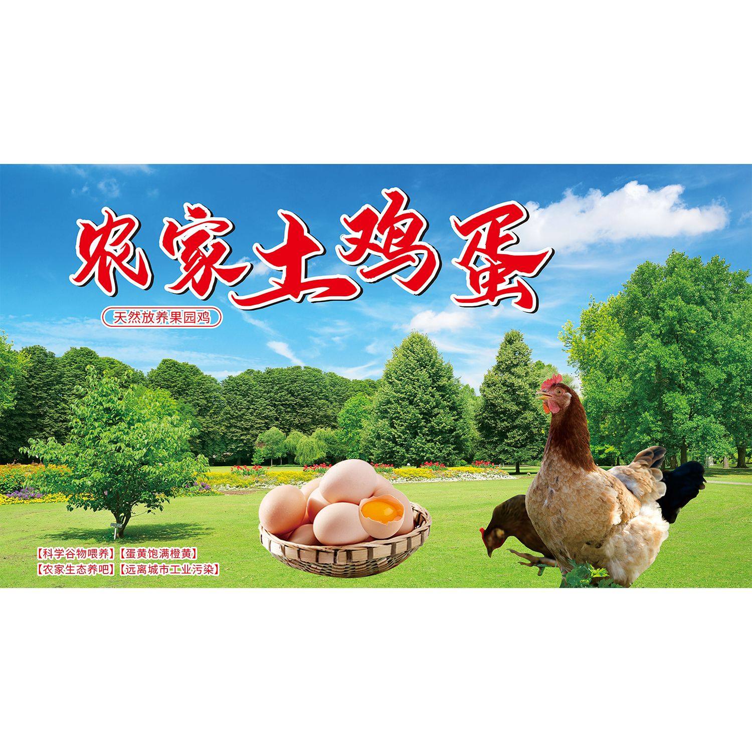 土鸡土鸭鸡蛋宣传画超市出售家禽店铺装饰背景墙画鸡肉分割图贴纸,淘宝优惠券,粉丝福利购,淘宝优惠卷