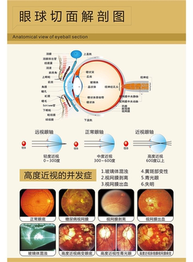 人体眼部概观全息图海报展板数码裂隙灯守护眼健康的护盾墙贴墙纸