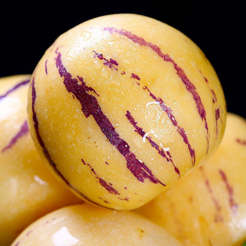 云南石林人参果中大果新鲜人叁果水果七彩黄肉圆果人生果新鲜现摘 - 图2