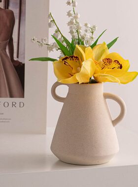蜀门北欧磨砂黑色陶瓷装饰干花花瓶家居客厅插花摆件花器水养鲜花