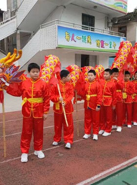 儿童舞龙学生舞龙5号8寸龙儿童舞龙道具7-14岁舞龙舞狮舞龙道具