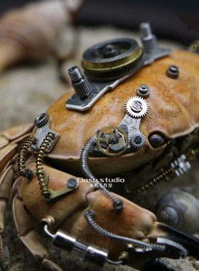 蒸汽朋克机械螃蟹标本大苏昆虫花纹爱洁蟹生态微景观玻璃罩摆件