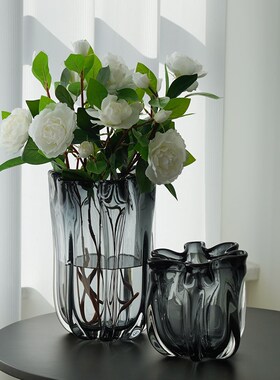 北欧现代加厚大花瓶玻璃花器摆件餐桌玄关柜客厅Y电视柜摆设