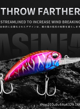 ASINIA路亚国产怪兽6.5cm16g远投