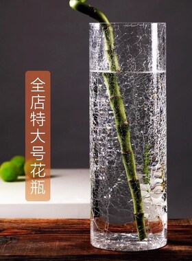 大号插瓶 富贵竹百合水培器 碎冰直圆筒裂纹