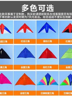 潍坊王侉子风筝伞布碳杆专业大型成人玩家微风风筝