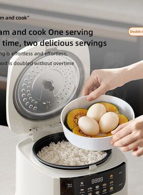 欧规英电饭煲家用饭煲规美规电饭煲2LMini 多功能rice cooker迷你