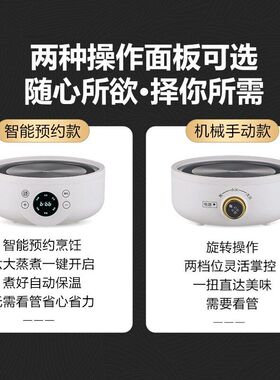 多功能养生家用器英规壶办公室茶壶花壶玻璃110V欧规煮茶全自动