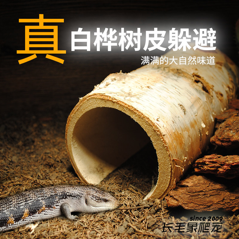 实木白桦树松木爬宠躲避洞鬃狮爬虫守宫蛇实木造景仓鼠刺猬躲藏屋,淘宝优惠券,粉丝福利购,淘宝优惠卷