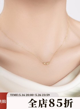 小众高级设计感轻奢银项链2025新款女款锁骨链女简约颈链纯银配饰