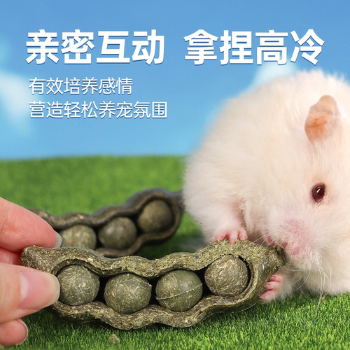 teewy萃微益仓鼠磨牙棒豌豆荚零食金丝熊蜜袋鼯造景解闷自嗨玩具 - 图3