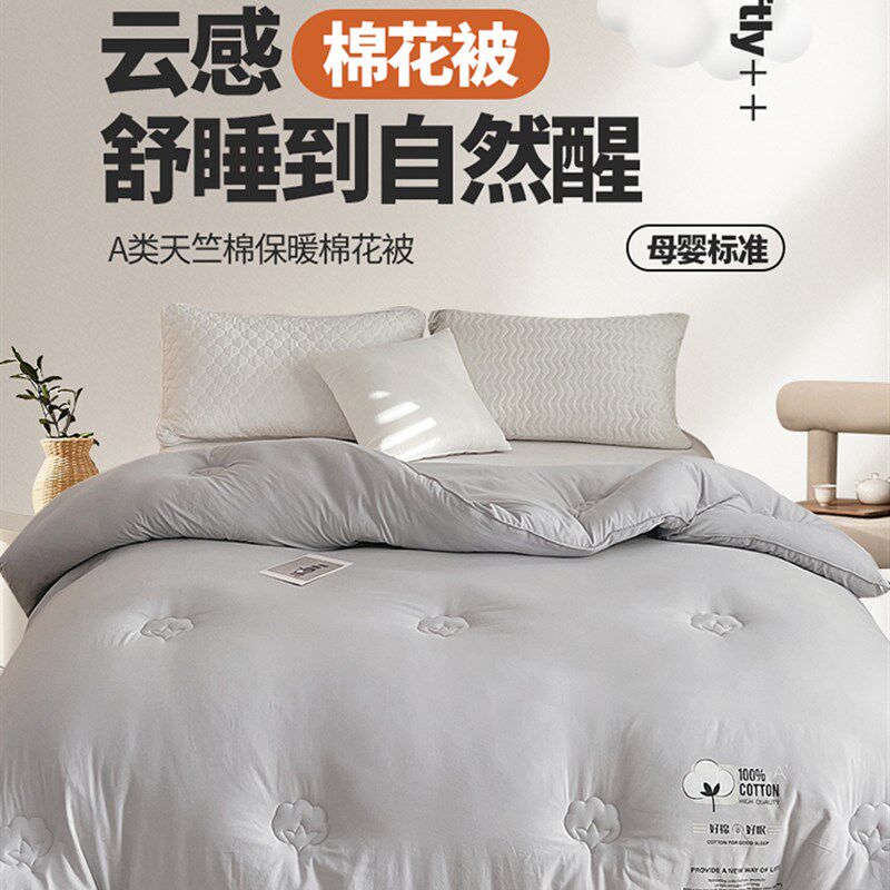A类天竺棉新疆纯棉花被子冬被加厚保暖棉被芯宿舍单人棉絮春秋被,淘宝优惠券,粉丝福利购,淘宝优惠卷