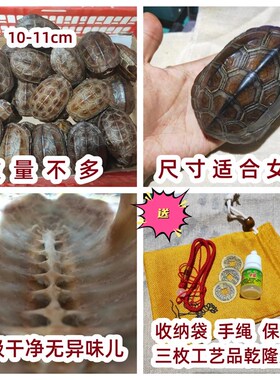 乌龟壳真甲壳天然完整文玩龟甲摇卦卦富甲把件金线龟壳适合女生