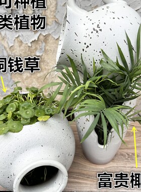 陶艺粗陶花盆倒瓶过滤循环创意庭A院室内阳台古法养鱼中式流水景