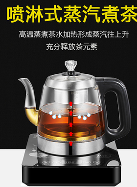 小型手把上水煮茶壶黑茶壶煮茶器家用全自动蒸汽喷淋式玻璃养生壶