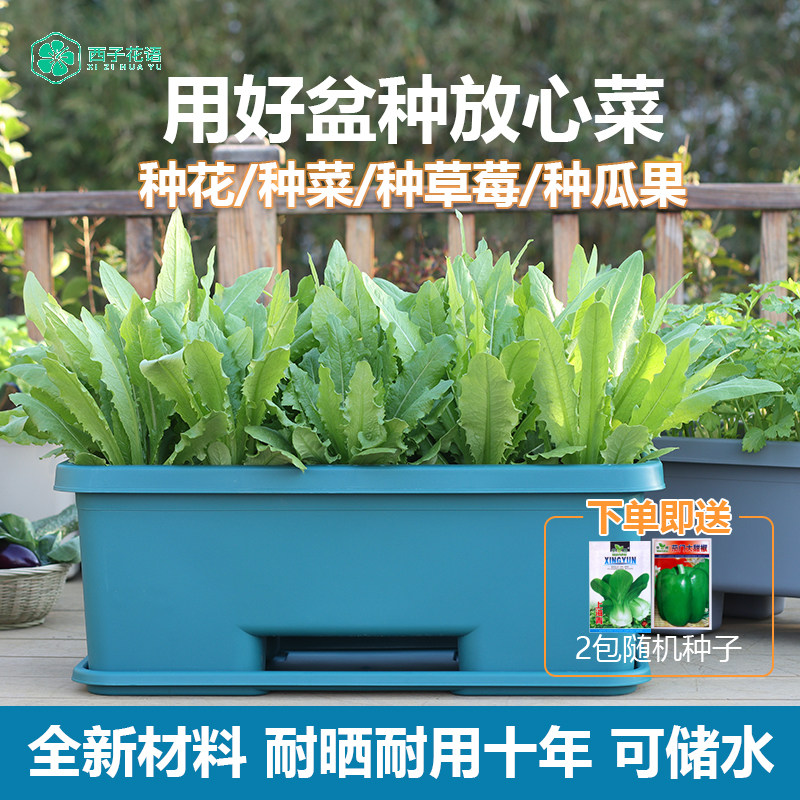 室内阳台种菜专用懒人花盆自吸水盆栽蔬菜花卉种植箱超大长方形,淘宝优惠券,粉丝福利购,淘宝优惠卷