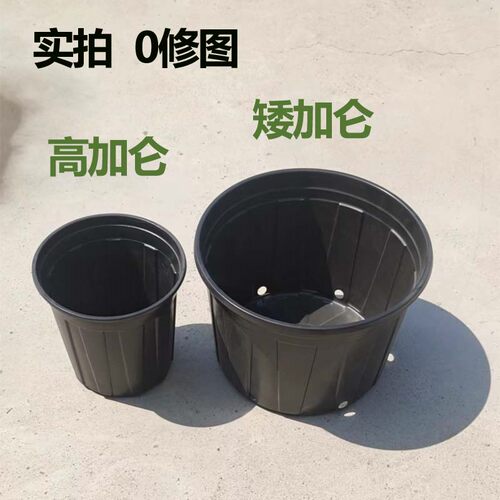 黑色加仑育苗盆家庭育苗推荐款木本植物专用黑色加厚育苗盆 - 图1
