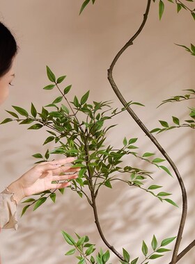 森空间仿真绿植室内软装搭配南天竹假树风格装饰
