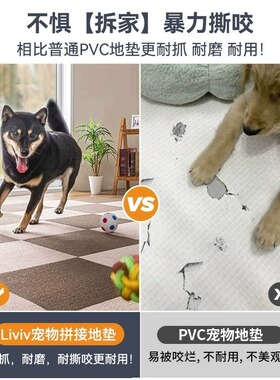 宠物地垫专用拼接地毯猫咪狗狗防水防尿防滑垫加厚卧室客厅地板贴