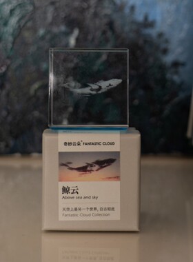 天空市集鲸云立方治愈系创意情侣礼品生日礼物小众高级文艺送闺蜜