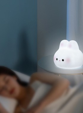 萌宠团子拍拍灯 鸭子小猫猪猪小兔款搪胶创意插电地摊 小夜灯