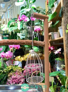 迷你鸟笼小推车婴儿车摆件花园挂件铁艺装饰庭院杂货 满28包邮