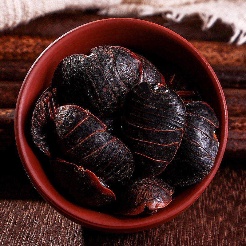 土鳖虫 中药材新干货大土元100g克土鳖子 地必虫 地乌龟 蟅虫包邮,淘宝优惠券,粉丝福利购,淘宝优惠卷