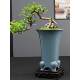 Orchid special flower pot purple sand flower pot ceramic home indoor desktop cliff old pile landscape flower pot red sandalwood