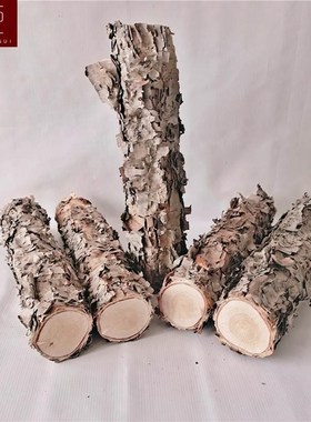 铁桦木铁桦树桦木原木铁桦原木装饰树隔断U橱窗隔断湿木料