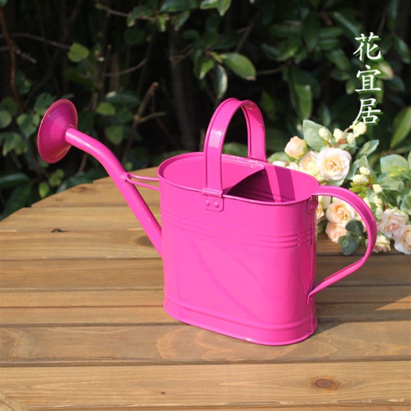 现代简约浇花壶浇菜壶家用铁皮小型洒水壶彩色中号家庭园艺喷壶,淘宝优惠券,粉丝福利购,淘宝优惠卷