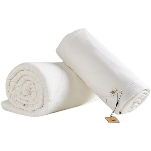 新疆一级优质长绒棉被冬被加厚保暖纯棉花春秋被子被芯全棉空调被 - 图2