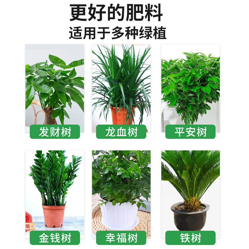 发财树专用营养液肥花卉水培植物绿萝富贵文竹室内盆栽肥料活力素,淘宝优惠券,粉丝福利购,淘宝优惠卷
