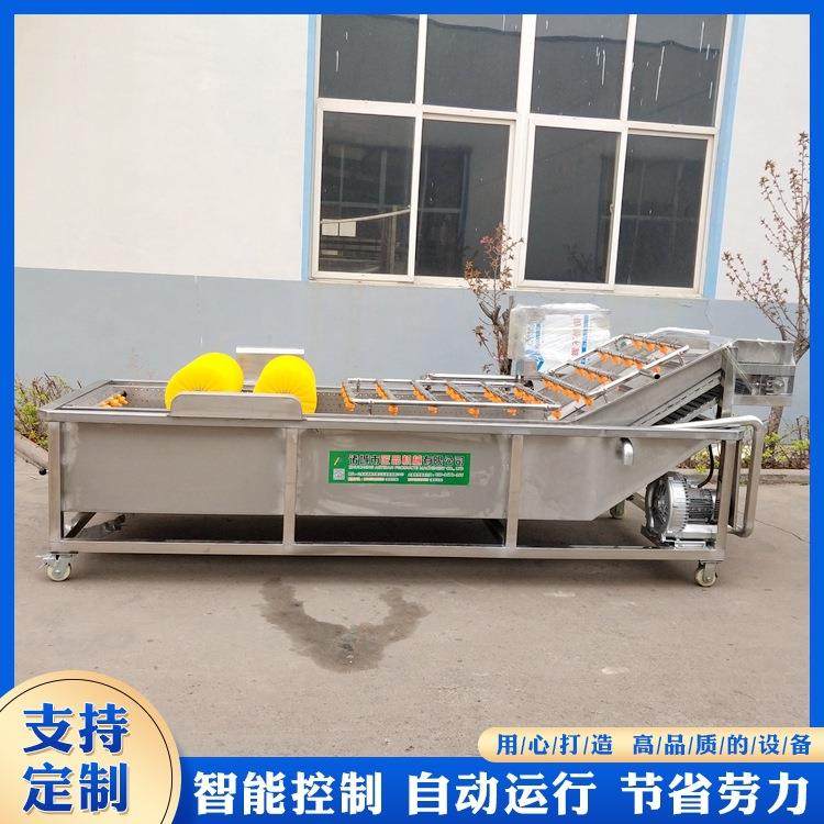 6500型蔬菜气泡清洗机水果清洗设备304不锈钢板材机械,淘宝优惠券,粉丝福利购,淘宝优惠卷