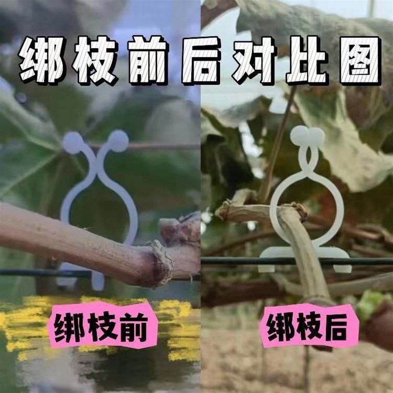 免拆卸葡萄绑枝卡猕猴桃绑枝扣果树固定卡子挂钩蓝莓枝条塑料扎丝,淘宝优惠券,粉丝福利购,淘宝优惠卷