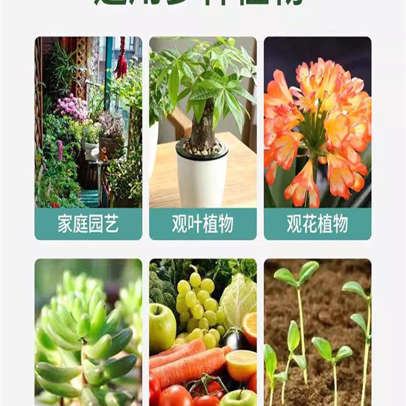 八个老头生根剂家庭园艺花卉果蔬植物快速生根液补充养分养根壮根,淘宝优惠券,粉丝福利购,淘宝优惠卷