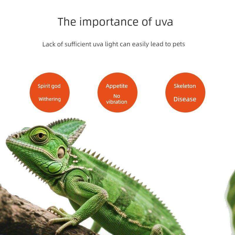 爬行动物宠物Uva加热夜灯蜥蜴加热灯壁虎蜥蜴繁殖箱绝缘龟箱龟灯,淘宝优惠券,粉丝福利购,淘宝优惠卷