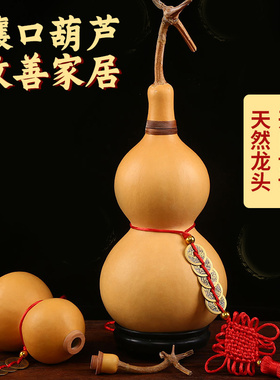天然龙头葫芦挂件镶口葫芦房梁压顶特大葫芦客厅门对门