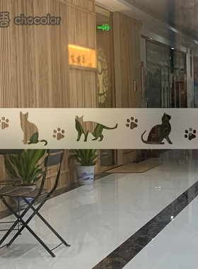 宠物店玻璃门防撞腰线贴美容医院橱窗装饰贴动物生活馆推拉门贴纸