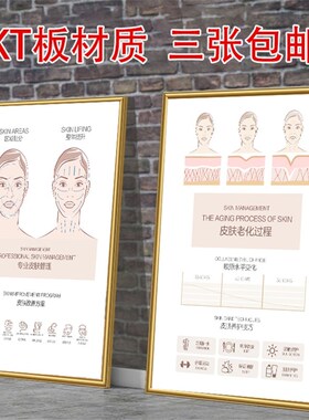院皮肤管理结构图装饰画面部保养头疗养护墙壁画护肤养生挂画