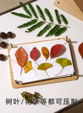 作物儿童手工DIY植物树叶标本制作工具干花书签标本夹压花器套装