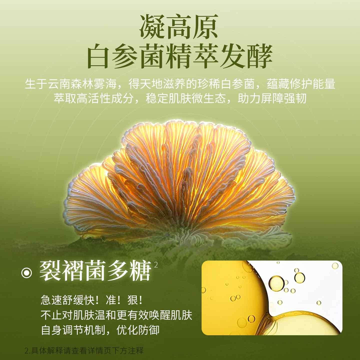 【顺手买一件】植安肌舒缓修红酵萃四重焕颜修护次抛精华液试用装,淘宝优惠券,粉丝福利购,淘宝优惠卷