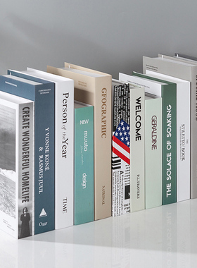 假书仿真书装饰品道具摆设模型创意客厅书架电视柜店铺小