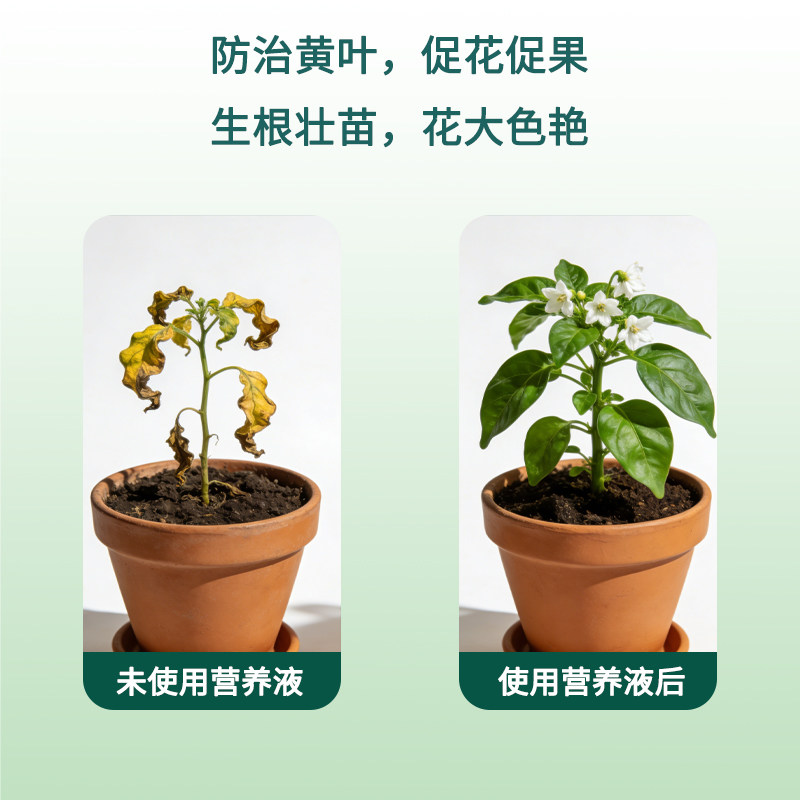 免稀释营养液通用型花肥家用盆栽发财树富贵竹绿萝多肉绿植肥料,淘宝优惠券,粉丝福利购,淘宝优惠卷